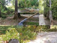 VELIKA ŠTETA: Nevrijeme počupalo stabla i polomilo grane drveća u Velikoj aleji na Ilidži (FOTO)