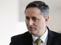 DENIS BEĆIROVIĆ GOVORIO ZA AUSTRIJSKI LIST: 'Hitno pojačati snage EUFOR-a u BiH'
