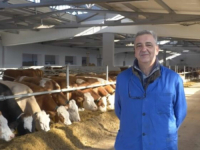 NEOBIČNA PRIČA IZ SREDNJE BOSNE: Farmer svakoj kravi kupio dušek od 200 maraka... (VIDEO)
