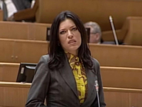 HISTERIČAN ISTUP SANJE VULIĆ: 'Pokret 'Arnautizam' zavladao CIK-om!'
