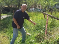 POČASTIO SE MEDOM I VOĆEM: Medvjed kod Sanskog Mosta razvalio ogradu i ušao u dvorište, zatekao ga vlasnik imanja