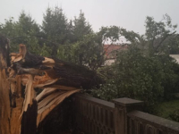 SANSKI MOST NAKON NEVREMENA: Ogromne posljedice oluje, uništena i stoljetna lipa (FOTO/VIDEO)