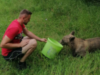 'NADAMO SE DA ĆE BITI DOBRO': Hrabri ljudi iz Jajca spasili mladu ženku medvjeda (VIDEO)