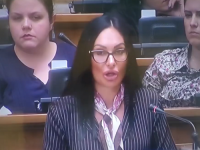 VUČIĆEVA ZASTUPNICA POSTALA HIT NA DRUŠTVENIM MREŽAMA: 'Sad ću vam objasniti kako funkcioniše turbo kružni tok!' (VIDEO)