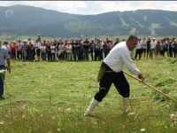 VIŠESTOLJETNA TRADICIJA: Rekordan broj takmičara na 'Danima kosidbe' na Kupreškoj visoravni (VIDEO)