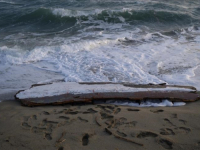 POTRESNE VIJESTI IZ AFRIKE: Najmanje 300 migranata iz Senegala nestalo u Atlantskom okeanu