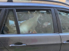 ODALO GA BLEJANJE: Policija intervenirala jer je porodica u autu vozila jagnje