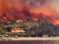 VATRENA STIHIJA U GRČKOJ: Vatrogasci već jedanaesti dan bore se s požarom koji hara nacionalnim parkom