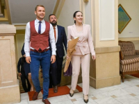 DRAŠKO STANIVUKOVIĆ: 'Tvrtko je bio srpski vladar, gradonačelnica Sarajeva grubo prekraja istoriju!'