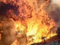 STRAVIČNO: U izgorenoj šumi na sjeveru Grčke pronađeno 18 leševa, prvi izvještaji sugeriraju...