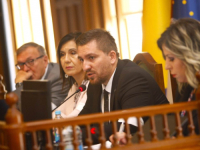 JASMIN ADEMOVIĆ, MLAD I NEMILOSRDAN: 'Mandić je na sastanke dolazio mahmuran, Konaković se ne treba baviti ovim temama, a Stevanović...' (VIDEO)