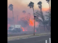 KATASTROFALNI POŽARI NA HAVAJIMA: Ljudi skakali u okean da se spase od vatre, poginulo najmanje 36 osoba