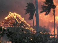 JEZIVA SVJEDOČANSTVA PREŽIVJELIH SA HAVAJA: Broj mrtvih u požarima na Mauiju popeo se na 53, traga se za oko 1000 nestalih