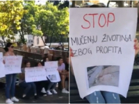 PROTESTI U TEŠNJU: Aktivisti traže kazne za odgovorne zbog stravičnih uslova u azilu za pse