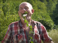 STANKO JE NAVIKAO NA SAMOĆU I HLADNOĆU: Često je gladan pa jede travu, žabe i puževe (VIDEO)