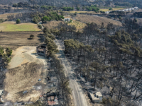 POVRIJEĐENO SEDAM OSOBA: Šumski požari u sjeverozapadnoj i centralnoj Turskoj stavljeni pod kontrolu
