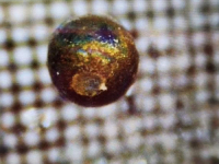 HISTORIJSKO OTKRIĆE AMERIČKIH NAUČNIKA: 'Iz Pacifika smo izvukli metalne sfere koje nisu iz Sunčevog sistema!'