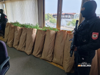 POLICIJSKA AKCIJA U LOPARAMA: Pronađeno i oduzeto 172 kilograma marihuane, uhapšena jedna osoba