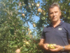 'BIT ĆE PEKMEZA I ZA IZVOZ': Kod Fadila Novalića veliki urod jabuka i šljiva (FOTO)