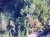 PROCURILE ŠOKANTNE SNIMKE S PRVE LINIJE: Dron snimio zastrašujuće scene u ruskom rovu, upozoravamo na uznemirujući sadržaj...