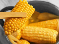 ISKORISTITE DOK GA JOŠ MOŽETE KUPITI NA PIJACI: Koliko dugo treba kuhati kukuruz kako bi bio mekan prije konzumiranja?