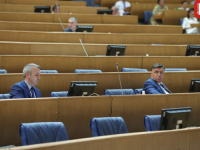 'NENAVOĐENE RAKETE' SANJE VULIĆ I DRUGE PRIČE IZ DRŽAVNOG PARLAMENTA: Bosna i Hercegovina jedina država u Evropi...