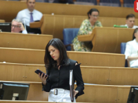 SANJA VULIĆ POPUT VUČIĆEVIH ZASTUPNIKA U SKUPŠTINI SRBIJE: 'Zašto se N1 TV-u ne ukine signal...'