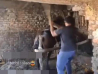 HOROR SNIMAK IZ SUSJEDSTVA: Hrvat se brutalno iživljavao nad konjem, nemilosrdno ga tukao batinom i sve prenosio na Facebooku (VIDEO)