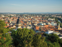 PROVOKACIJA U AUSTRIJI: U Grazu na ulazu u džamiju ostavljena svinjska glava