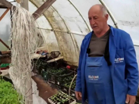 KOTORSKO BOLJE OD SLOVENIJE: Sve što proizvede Nermin proda (VIDEO)