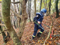 DIREKTOR BHMAC-a SAŠA OBRADOVIĆ U ŽENEVI JE PODNIO ZVANIČNI IZVJEŠTAJ: 'Ovaj izuzetan uspjeh države BiH...'