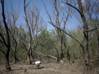 NEPRIHVATLJIVA POVREDA ZRAČNOG PROSTORA: Rumunija pronašla dijelove još jednog ruskog drona na svojoj teritoriji
