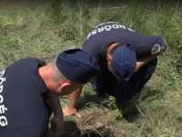 MIGRANTI NAPALI GRANIČNE PATROLE SRBIJE I MAĐARSKE: Pucali iz automata, VIktor Orban...