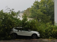 SRUŠENA STABLA I POTOPLJENE GRADSKE ULICE: Zbog nevremena velike štete u Mostaru, Čapljini, Neumu...