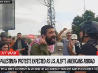 PROSVJEDNIK NAPAO AMERIČKU NOVINARKU NA ZAPADNOJ OBALI: 'Podržavate genocid. Je*eš CNN' (VIDEO)