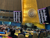 'NAŠA ODBRANA SE NASTAVLJA': Palestinska zajednica iskazala zahvalnost BiH zbog glasanja u UN-u