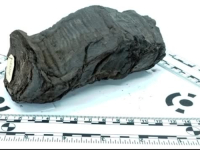 IMPRESIVNO NAUČNO POSTIGNUĆE: AI dešifrirao riječ iz drevnog svitka starog 2000 godina, evo što je otkrio... (FOTO, VIDEO)