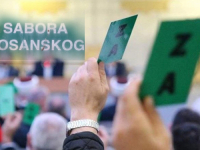 TRI LINIJE ODBRANE BOŠNJAKA: U javnost izašlo Bošnjačko narodno vijeće, imaju i krizni štab