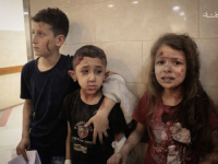 ANDREJ NIKOLAIDIS ZA 'SB': 'Znaju li Hrvatska i Srbija u koje evropske vrijednosti spada podrška ubijanju hiljada djece u Gazi?'