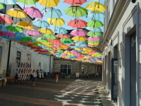 ZAŠTO SU ČESI PRESTALI VJEROVATI U SISTEM: Jedna od najrasprostranjenijih teorija zavjere u...