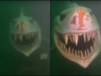 DA UMREŠ OD STRAHA: Ronioci naletjeli na stravičan prizor u jezeru (VIDEO)