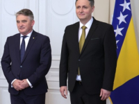 BOSNA I HERCEGOVINA JE NOSILAC PRAVA VLASNIŠTVA NAD CJELOKUPNOM...: Podrška Denisu Bećiroviću i Željku Komšiću