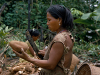 IMAJU SAMO JEDAN ZADATAK: U ovom plemenu živi 3000 žena i samo 7 muškaraca i nije im nimalo lako, evo i zašto... (VIDEO)