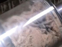 JEZIVO OTKRIĆE U SPAVAĆOJ SOBI: Djevojka usisala jednog od najsmrtonosnijih pauka na svijetu (VIDEO)