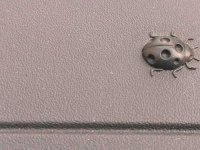 RIJETKI ZNAJU O KOME JE RIJEČ: Znate li koji model automobil na krovnom nosaču ima ovu oznaku…