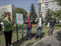 OTKRIVENA SPOMEN-PLOČA ZAHVALNOSTI DONORIMA BiH U SARAJEVU: Na transplantaciju organa u FBiH čeka 318 osoba