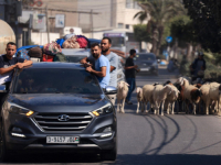 ŠIROM GAZE OSVANULI BROJNI LECI, HILJADE LJUDI NA CESTI PREMA JUGU, HAMAS:  'Ostanite i borite se!' (FOTO)