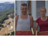 VRIJEDNI BRAČNI PAR IZ FOJNICE: Od branja i prodaje šumskih ploodova napravili dvije vikendice (VIDEO)