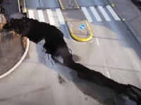 ISLAND ČEKA ERUPCIJU VULKANA: Preko noći više od 300 potresa, grad Grindavik tone (VIDEO)