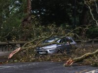 OLUJA U ZAPADNOJ EVROPI ODNIJELA NAJMANJE PET ŽIVOTA: Zatvorene luke, otkazani letovi